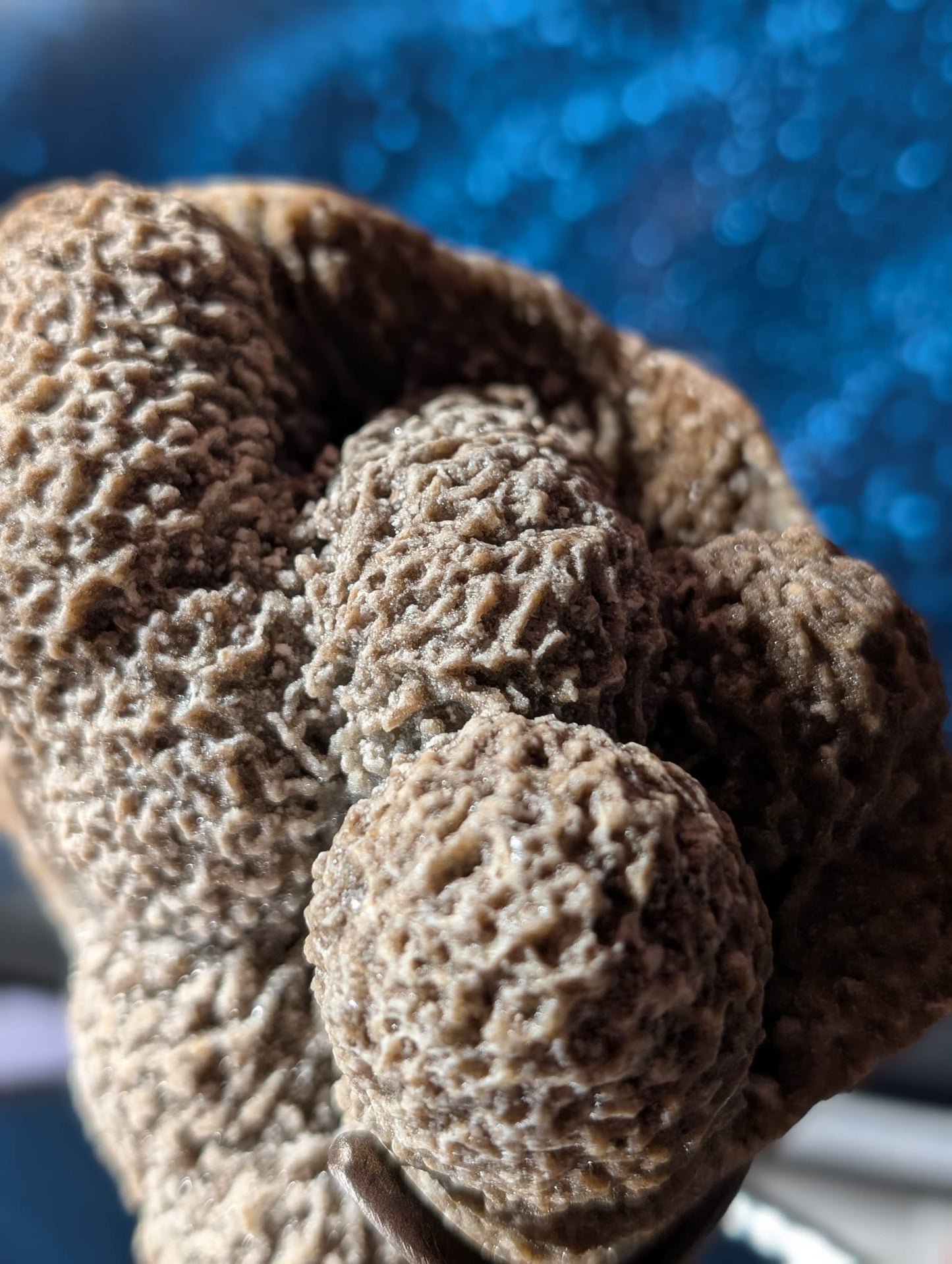 Coral-Jaspis auf Stand