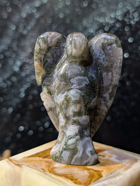 Montana-Moosachat Engel