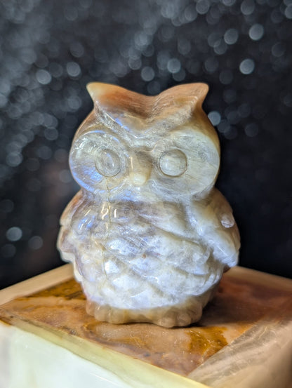 Eulen-Carving – Labradorit oder Mondstein