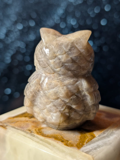 Eulen-Carving – Labradorit oder Mondstein