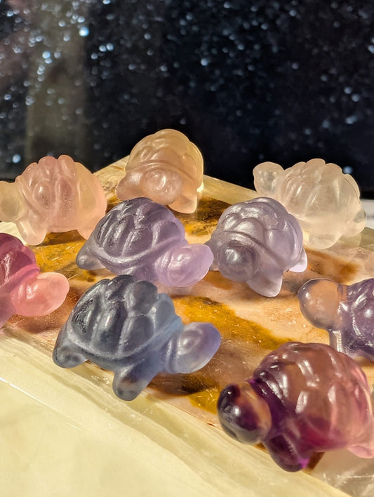 Mini-Schildkröte aus Fluorit