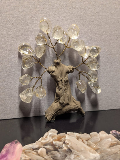 Kristall-Magnet-Bäumchen – 15 g (Auswahl)