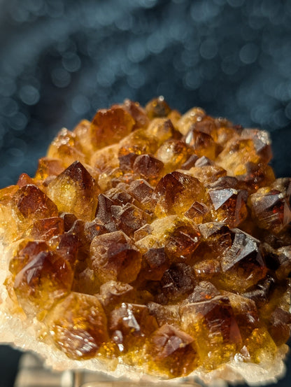 Citrin-Cluster Brasilien (140g)