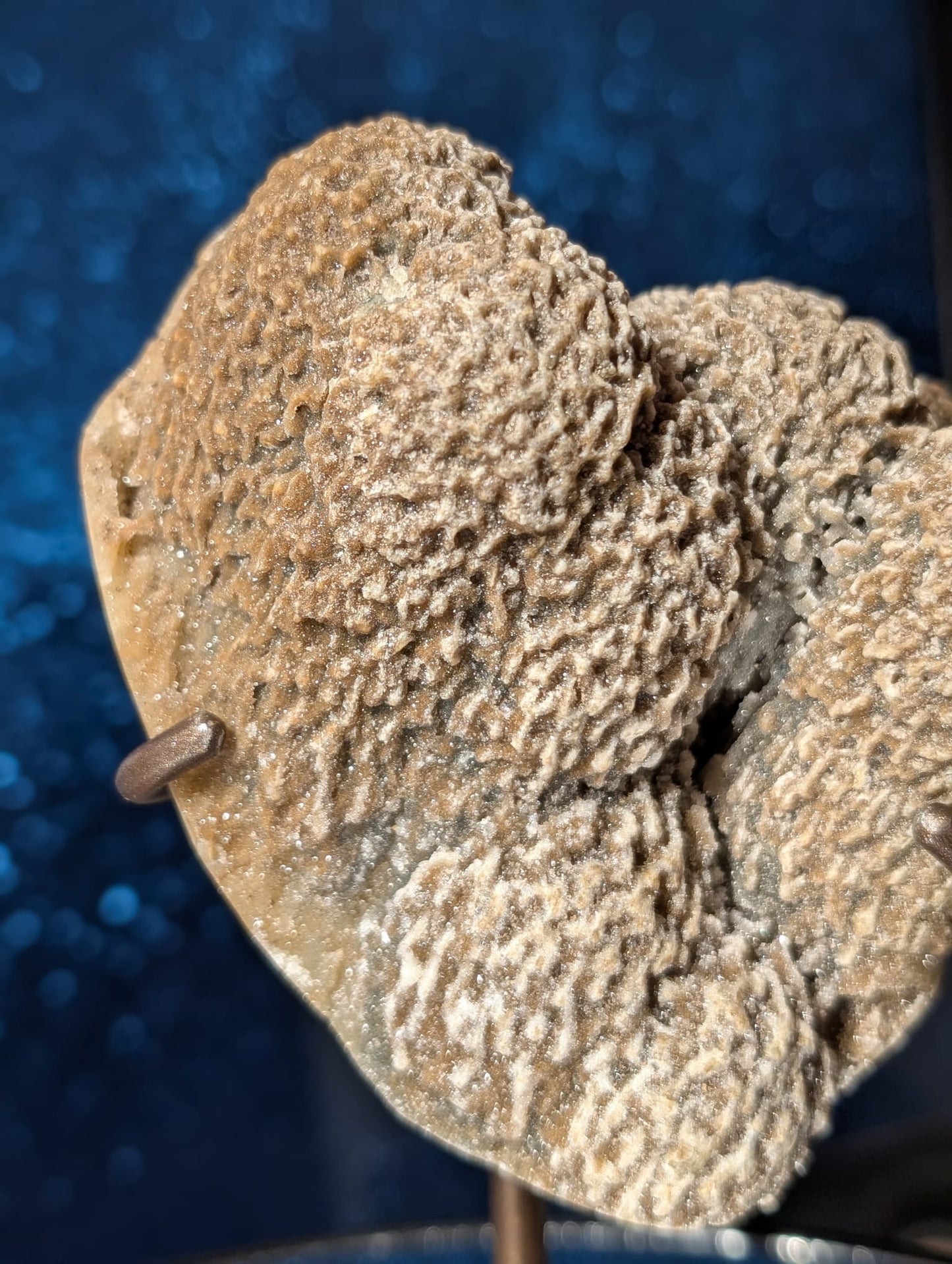 Coral-Jaspis auf Stand