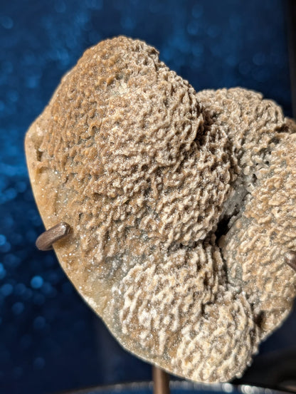 Coral-Jaspis auf Stand