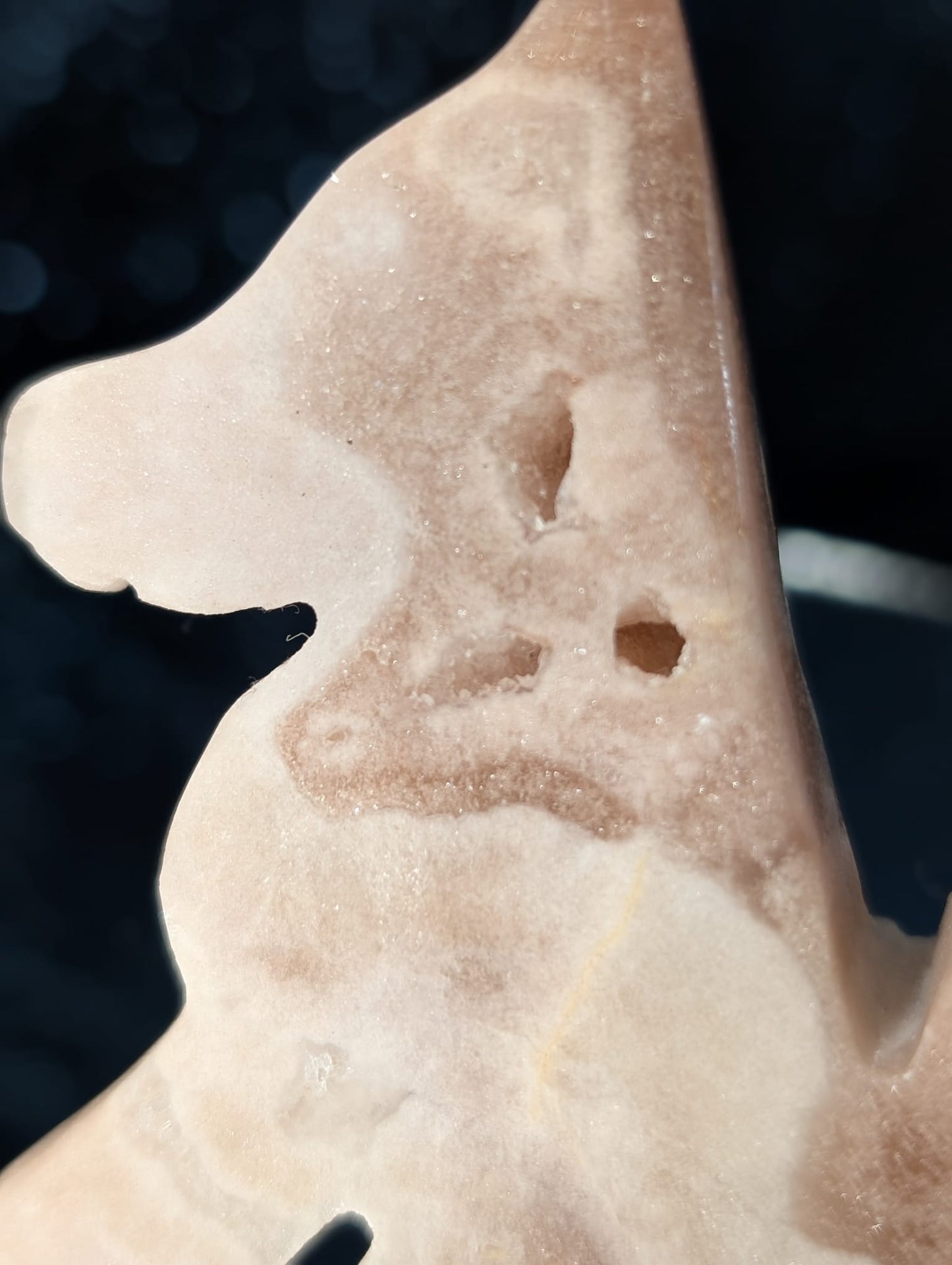 Amethyst Hund mit Druzy (Auswahl)