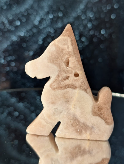 Amethyst Hund mit Druzy (Auswahl)