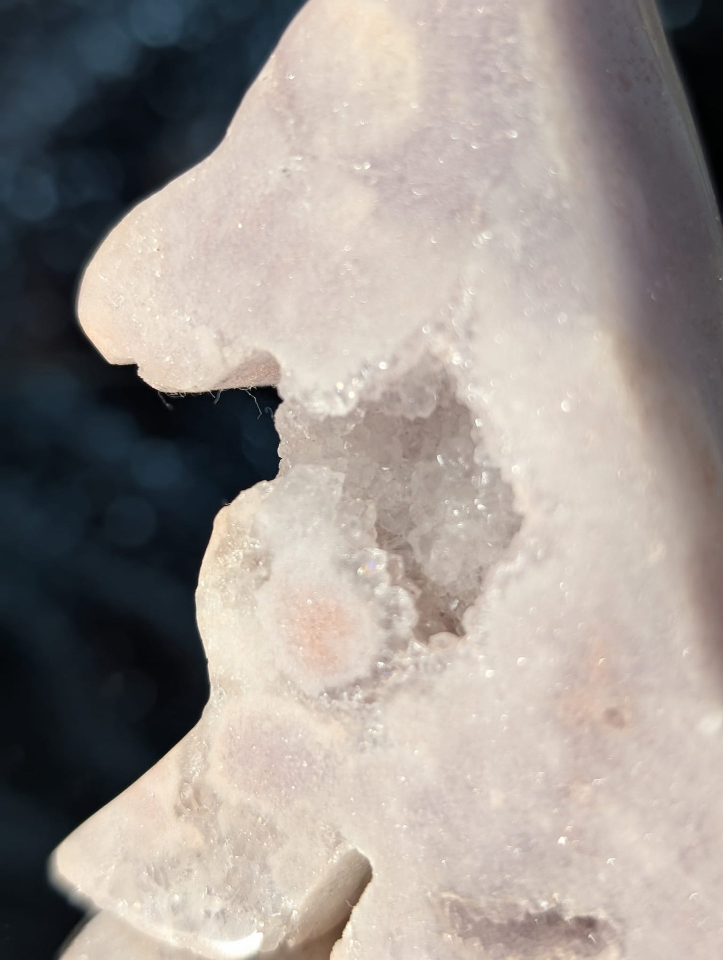 Amethyst Hund mit Druzy (Auswahl)