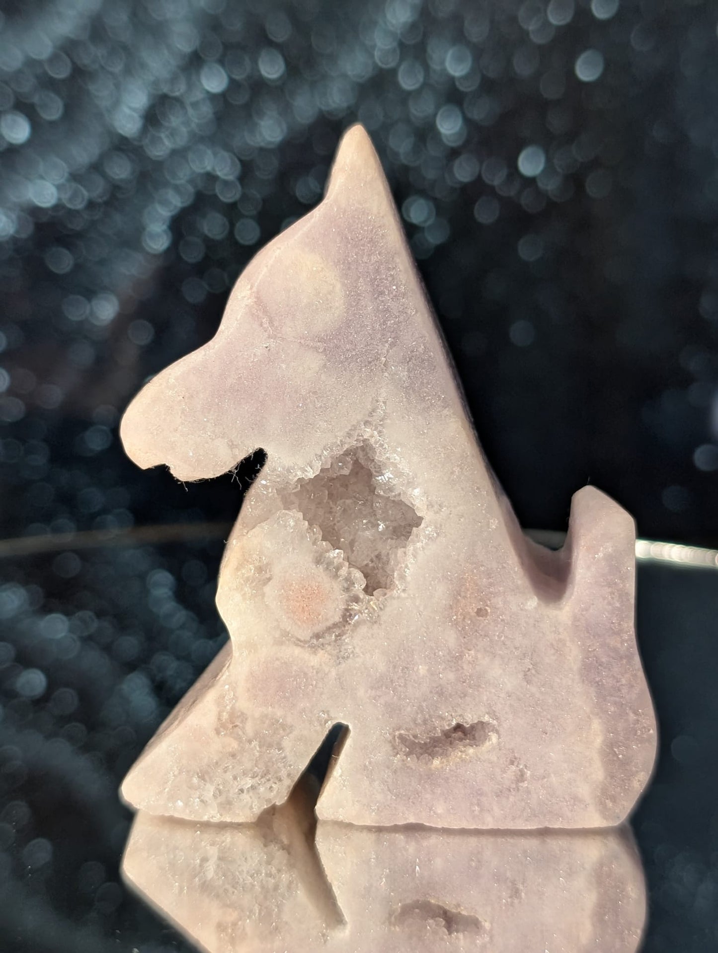 Amethyst Hund mit Druzy (Auswahl)