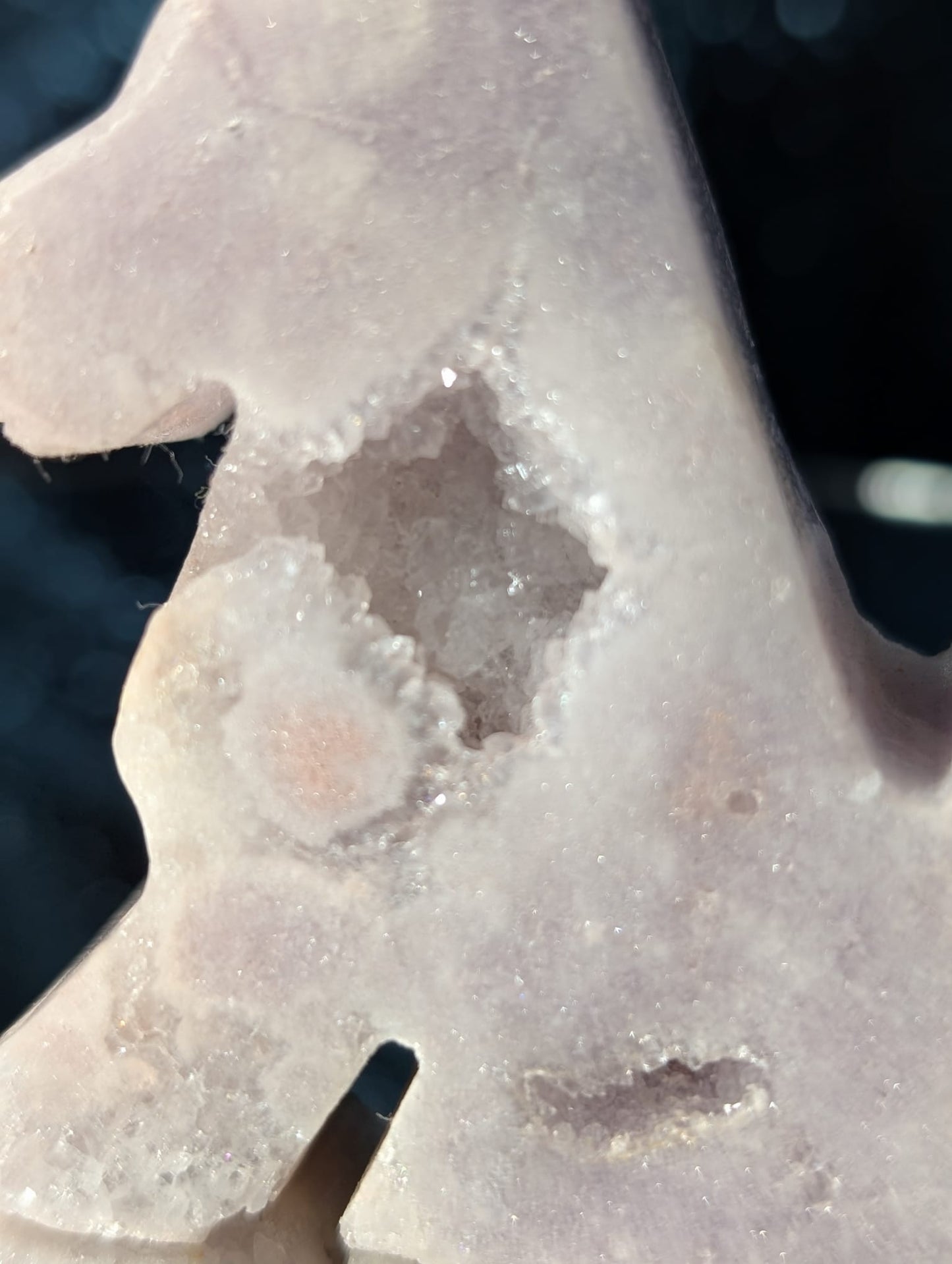 Amethyst Hund mit Druzy (Auswahl)