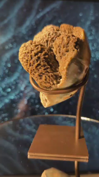 Coral-Jaspis auf Stand